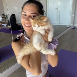 Вълшебно изживяване „Йога с котенца“