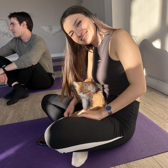 Сладост, практика и игра с „Йога с котенца“ от Makaroon Сладост, практика и игра с „Йога с котенца“ от Makaroon