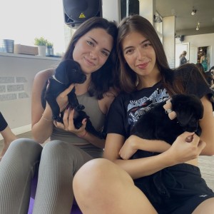 Йога практика с малки кученца в София Йога практика с малки кученца в София