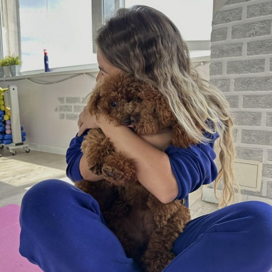 Отпуснете ума и тялото си в компаният ана най-добрия приятел на човека с "Йога практика с кученца" от Makaroon Отпуснете ума и тялото си в компаният ана най-добрия приятел на човека с "Йога практика с кученца" от Makaroon