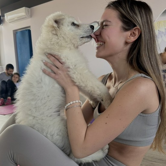 Отпуснете ума и тялото си в компаният ана най-добрия приятел на човека с "Йога практика с кученца" от Makaroon Отпуснете ума и тялото си в компаният ана най-добрия приятел на човека с "Йога практика с кученца" от Makaroon