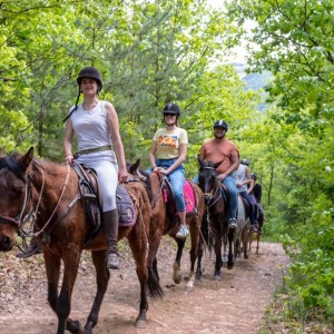 4-часов преход с кон до скалния феномен Столо и пикник за двама