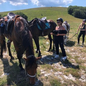 4-часов преход с кон до скалния феномен Столо и пикник за двама