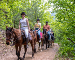 Horse riding for two and archery near Svoge from Makaroon