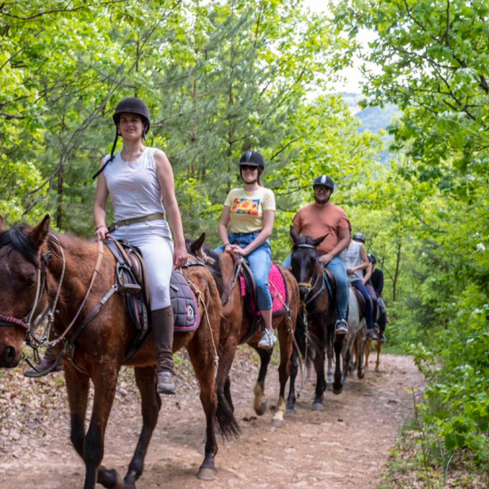 Horse riding for two and archery near Svoge from Makaroon