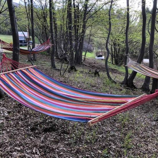 Урок по конна езда край Своге и стрелба с лък от Макароон Урок по конна езда край Своге и стрелба с лък от Макароон