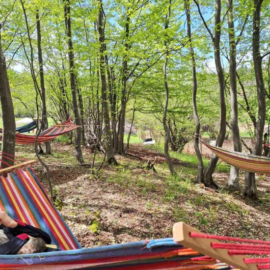 Урок по конна езда край Своге и стрелба с лък от Макароон Урок по конна езда край Своге и стрелба с лък от Макароон