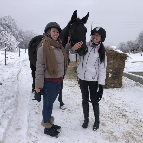 Урок по конна езда край Своге и стрелба с лък от Макароон Урок по конна езда край Своге и стрелба с лък от Макароон