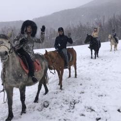 Урок по конна езда край Своге и стрелба с лък Урок по конна езда край Своге и стрелба с лък