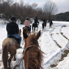 Horse riding for two - a winter fairy tale in nature near Svoge