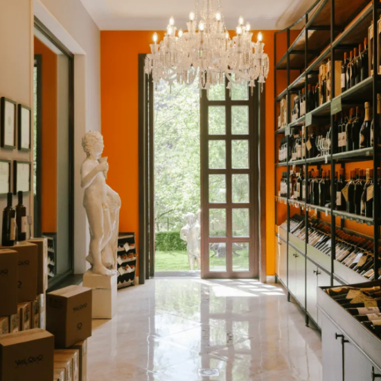 В света на виното с "Дегустация на 7 вина за двама във винарна Ялово, Велико Търново" от Makaroon