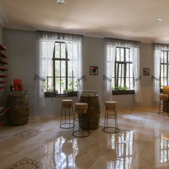 В света на виното с "Дегустация на 7 вина за двама във винарна Ялово, Велико Търново" от Makaroon