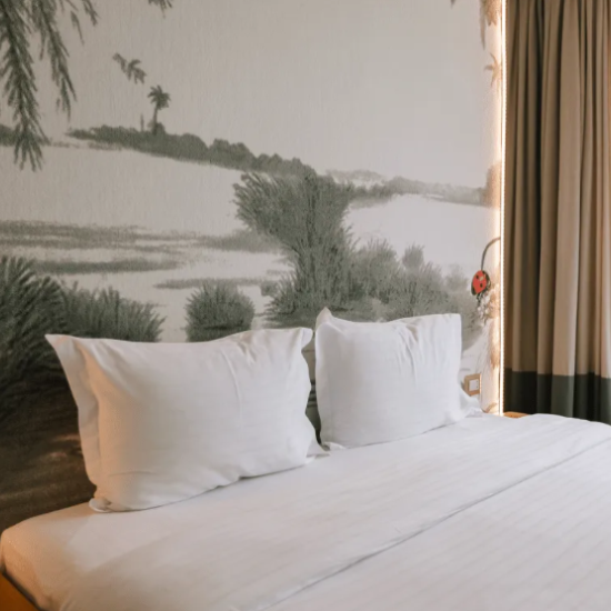 Релакс сред красотата на природата с „Нощувка за двама в Raya Garden“ във Велико Търново от Makaroon