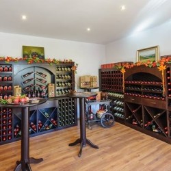 Дегустация на 3 вина за двама във винарна Рупел, с. Долно Спанчево