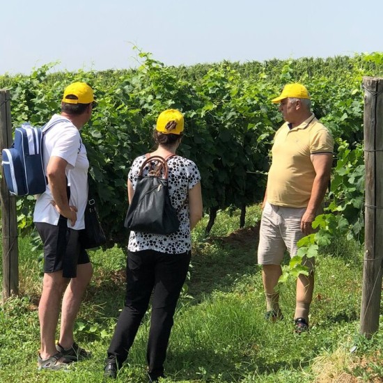 С колело сред природата + хубаво вино с  „Велотур от винарна Рупел до винарна Орбелус за двама“ от Makaroon