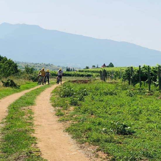 С колело сред природата + хубаво вино с  „Велотур от винарна Рупел до винарна Орбелус за двама“ от Makaroon