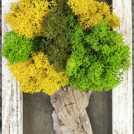 Изкуство и природа с Арт работилница за скандинавски мъх в София или Варна от Makaroon