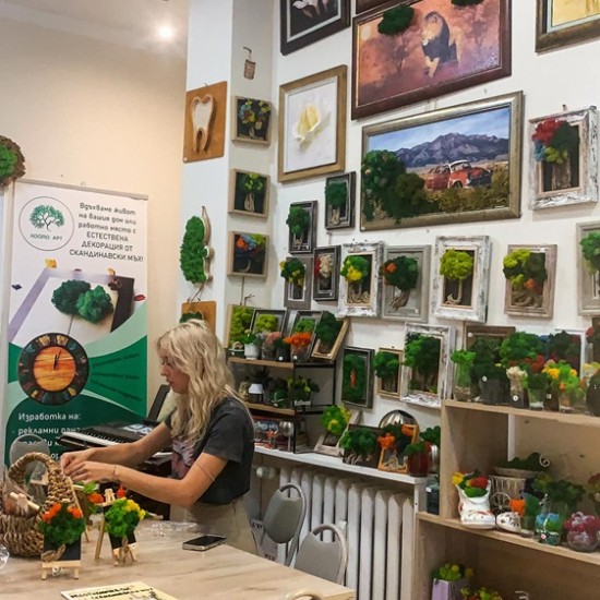 Изкуство и природа с Арт работилница за скандинавски мъх в София или Варна от Makaroon