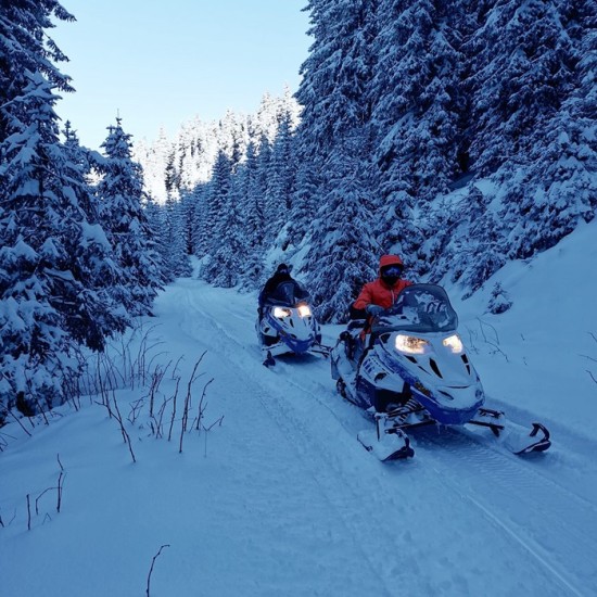Покорете снежния терен с „Разходка с моторна шейна край Пампорово“ от Makaroon