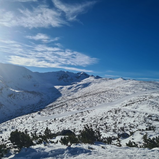 Урок по ски за двама в Боровец от Макароон Урок по ски за двама в Боровец от Макароон