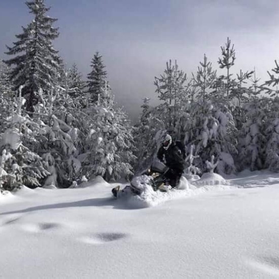 Подарете едно снежно забавление с "Зимна разходка с моторна шейна край Паничище" от Makaroon