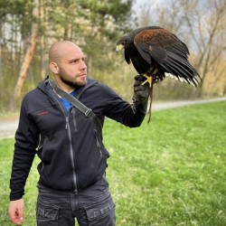 Господарите на небето: Групово шоу с мишелов на Харис и скален орел за един човек