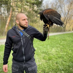 Господарите на небето: Групово шоу с мишелов на Харис и скален орел за един човек