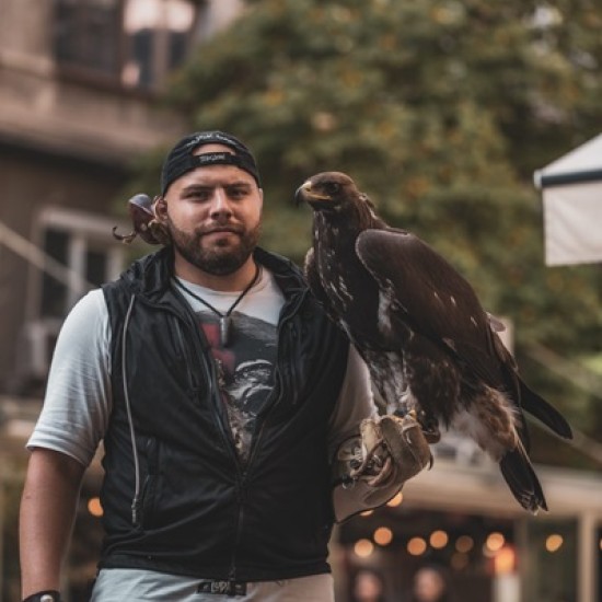 Очи в очи с най-красивите хищни птици в природата с Индивидуално авиошоу с грабливи птици за един човек от Makaroon
