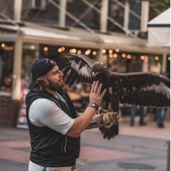 Индивидуално авиошоу с грабливи птици за един човек 