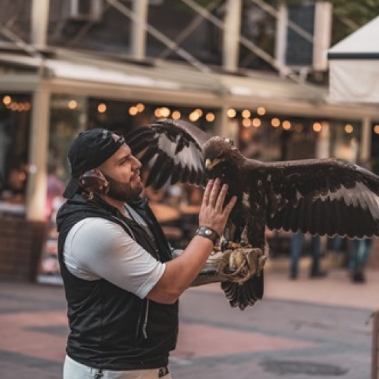 Очи в очи с най-красивите хищни птици в природата с Индивидуално авиошоу с грабливи птици за един човек от Makaroon