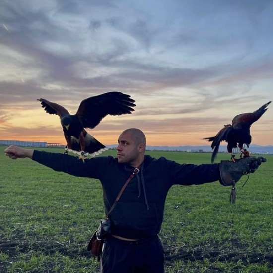 Запознайте се с хищните птици отблизо с  Групово шоу с мишелов на Харис и скален орел за един човек от Makaroon