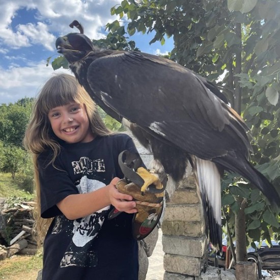 Запознайте се с хищните птици отблизо с  Групово шоу с мишелов на Харис и скален орел за един човек от Makaroon