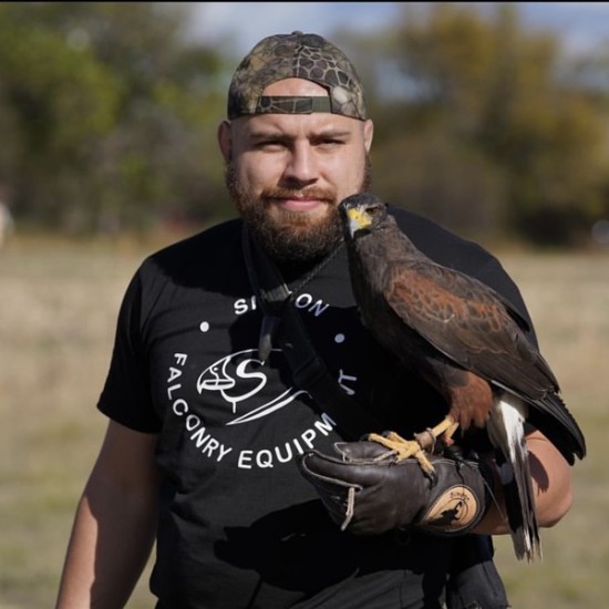 Запознайте се с хищните птици отблизо с  Групово шоу с мишелов на Харис и скален орел за един човек от Makaroon
