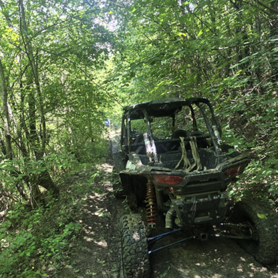 Have fun in nature with "Walk with UTV near Gabrovo for 1 hour" from Makaroon