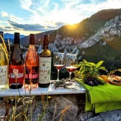 Внушителна гледка и винена дегустация „На пъпа на света за двама“ край Враца