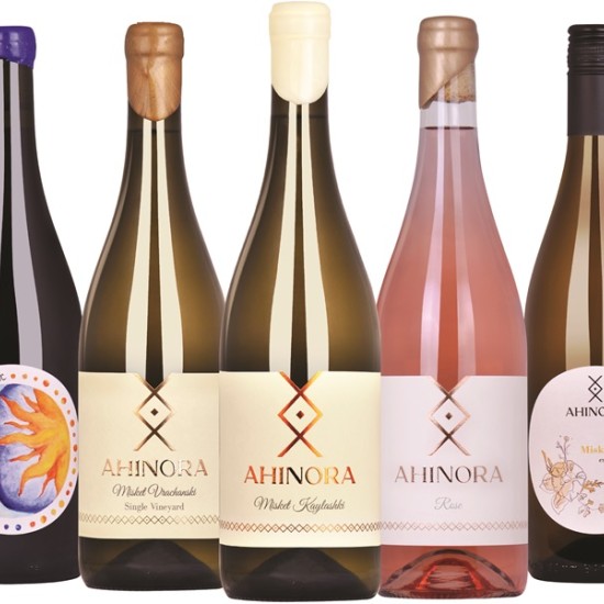 Едно лозаро-винарско приключение сред Дунавската равнина с "Дегустация за двама в с. Селановци" от Makaroon