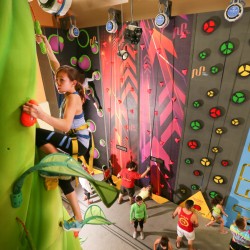 Индивидуална тренировка по катерене в Momentum Indoor Climbing