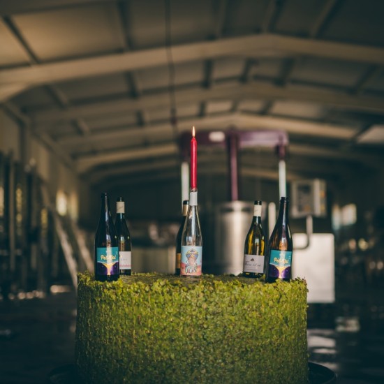  Преживяване за ценители - Тур и дегустация на вина от редки български сортове във Винарска изба Царев Брод от Makaroon