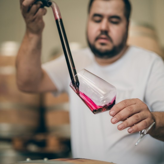  Преживяване за ценители - Тур и дегустация на вина от редки български сортове във Винарска изба Царев Брод от Makaroon