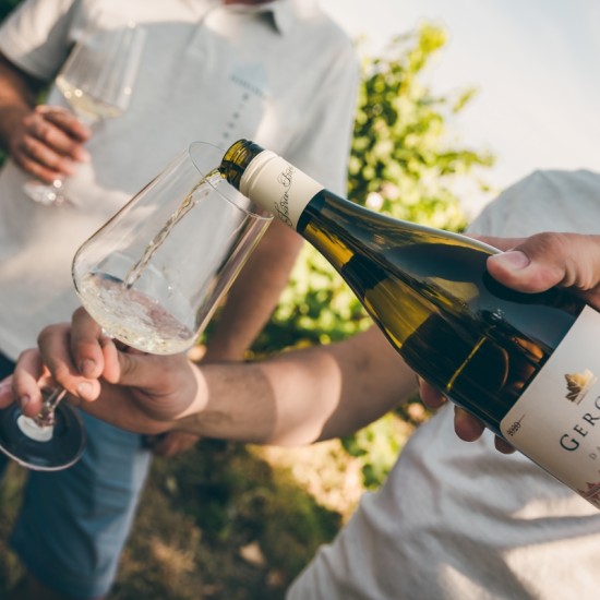  Преживяване за ценители - Тур и дегустация на вина от редки български сортове във Винарска изба Царев Брод от Makaroon