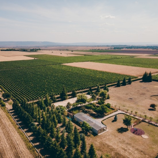  Преживяване за ценители - Тур и дегустация на вина от редки български сортове във Винарска изба Царев Брод от Makaroon