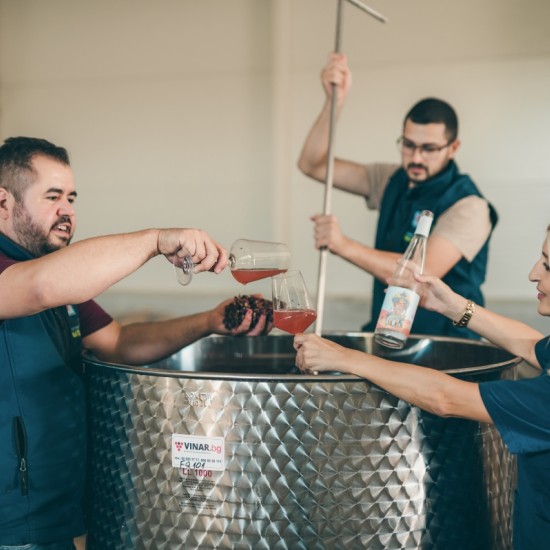  Преживяване за ценители - Тур и дегустация на вина от редки български сортове във Винарска изба Царев Брод от Makaroon
