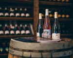  Преживяване за ценители - Тур и дегустация на вина от редки български сортове във Винарска изба Царев Брод от Makaroon