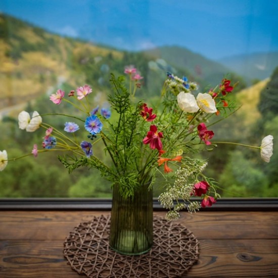 Подарете си една незабравима почивка на Нашето място, апартамент Ирис в сърцето на Родопите от Makaroon