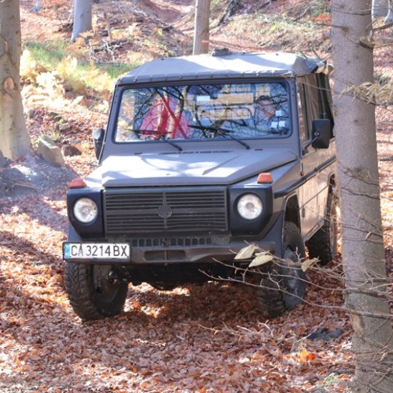 Опознайте природата отблизо с Горско сафари и наблюдение на диви животни край Ихтиман от Makaroon