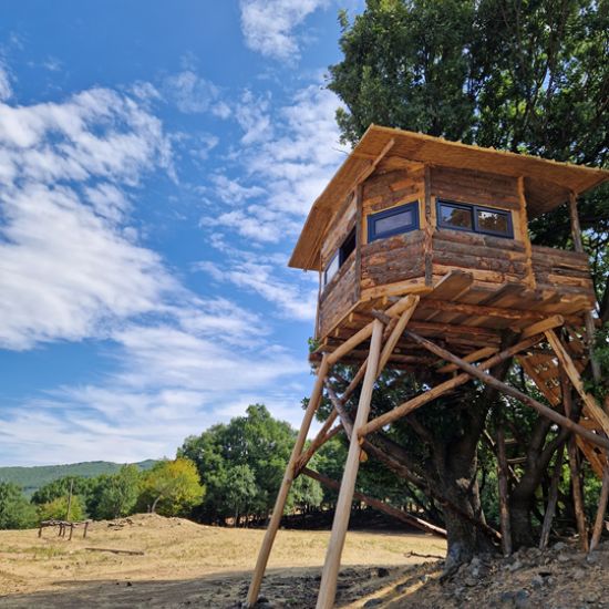 Опознайте природата отблизо с Горско сафари и наблюдение на диви животни край Ихтиман от Makaroon