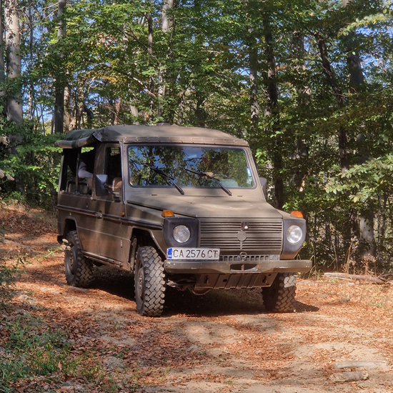 Прекарайте един незабравим ден сред природата със сафари с диви животни, разходка и барбекю край Ихтиман от Makaroon
