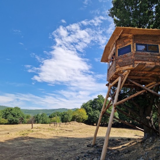 Прекарайте един незабравим ден сред природата със сафари с диви животни, разходка и барбекю край Ихтиман от Makaroon