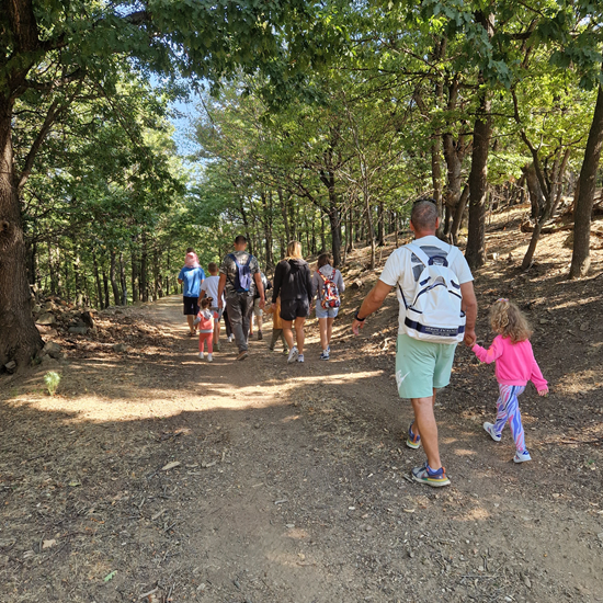 Прекарайте един незабравим ден сред природата със сафари с диви животни, разходка и барбекю край Ихтиман от Makaroon