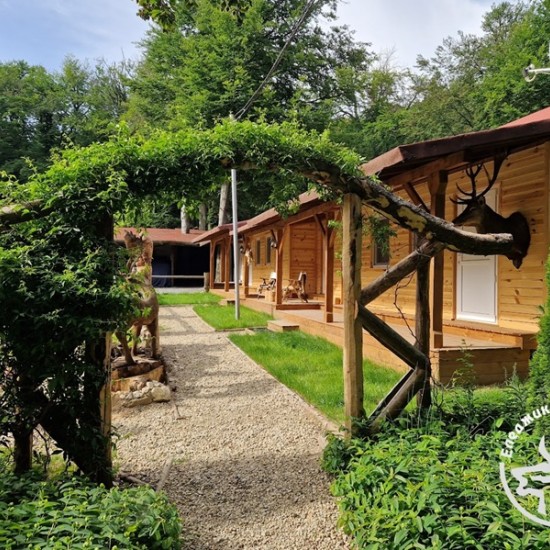 Подарете си ден сред природата с барбекю и стрелба с лък край Ихтиман от Makaroon